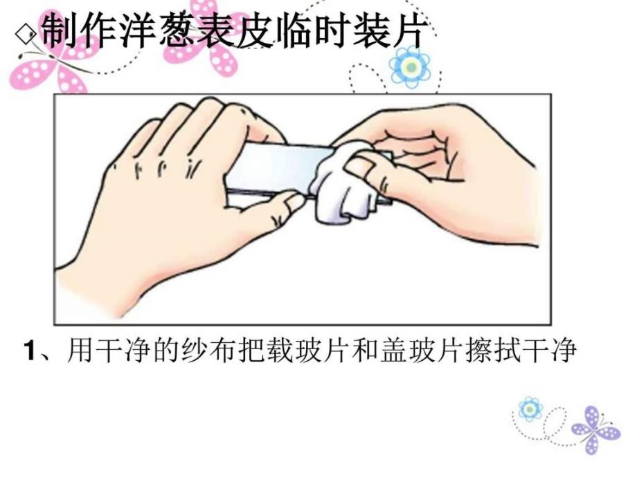 七年级生物细胞的结构和功能2图文课件_第4页