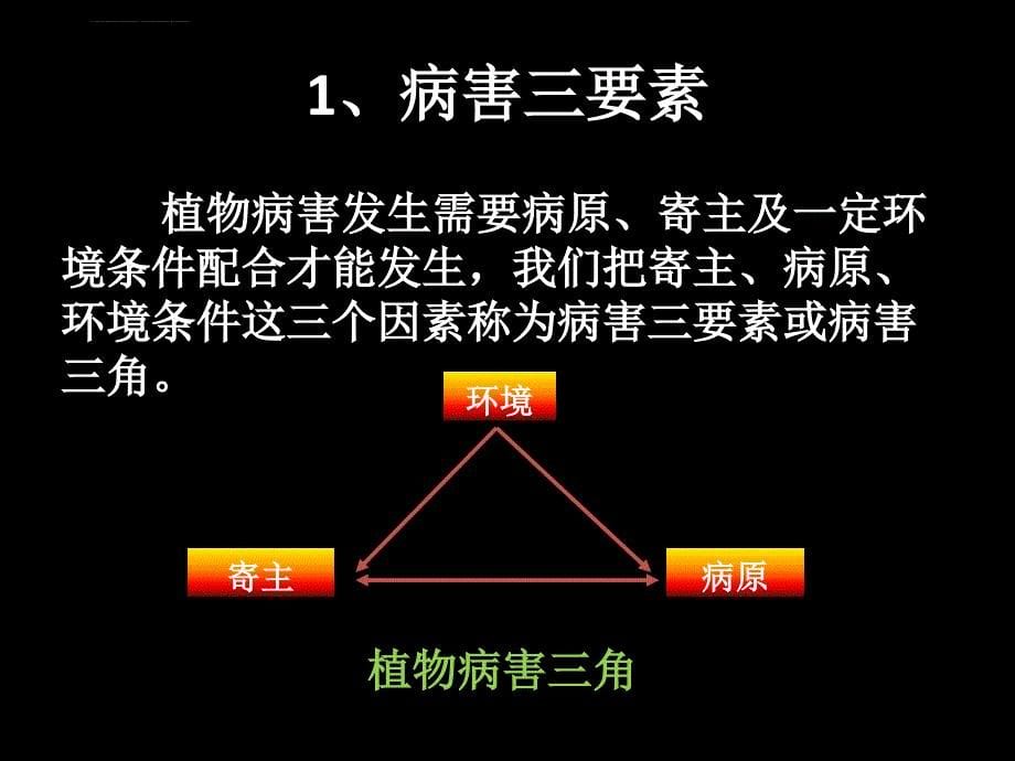 不利于寄主植物抗病课件_第5页