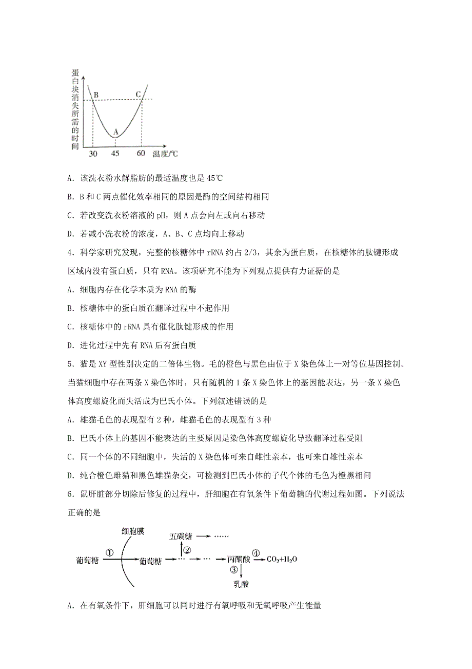 四川省广元市苍溪县实验中学校2020届高三理综下学期适应性考试试题【含答案】_第2页