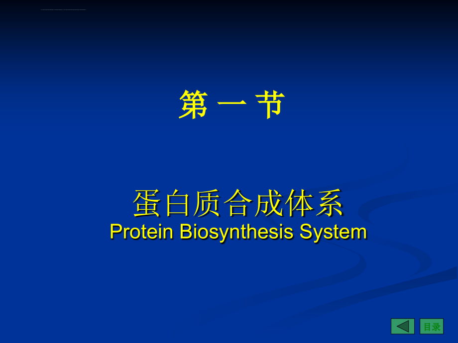 蛋白质的生物合成翻译生物化学与分子生物学课件_第4页