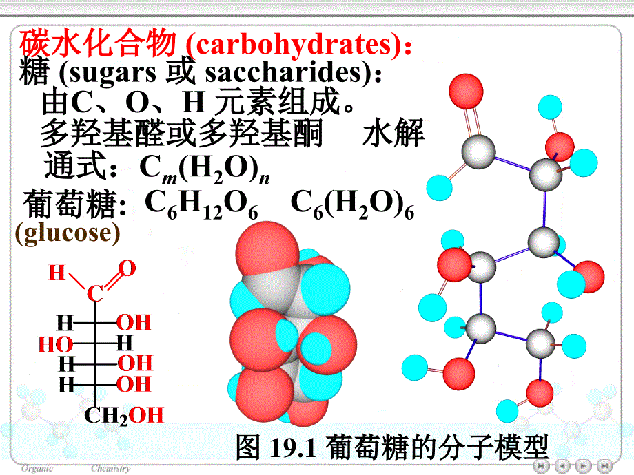 第十九章碳水化合物ppt课件名师编辑PPT课件--资料_第3页