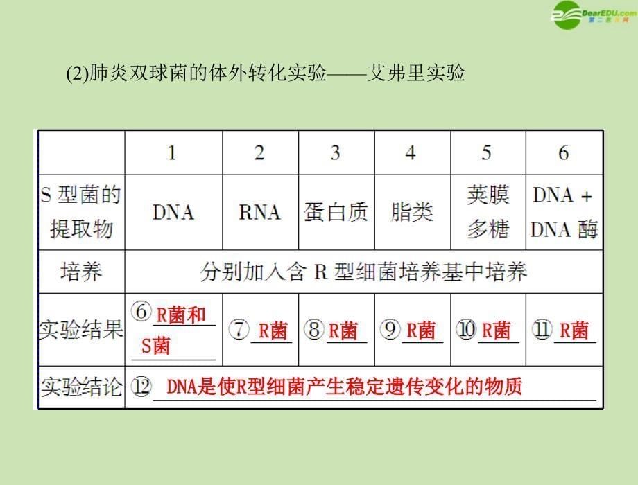 高考生物一轮复习 第3章 第1节 DNA是主要的遗传物质课件 新人教必修2_第5页