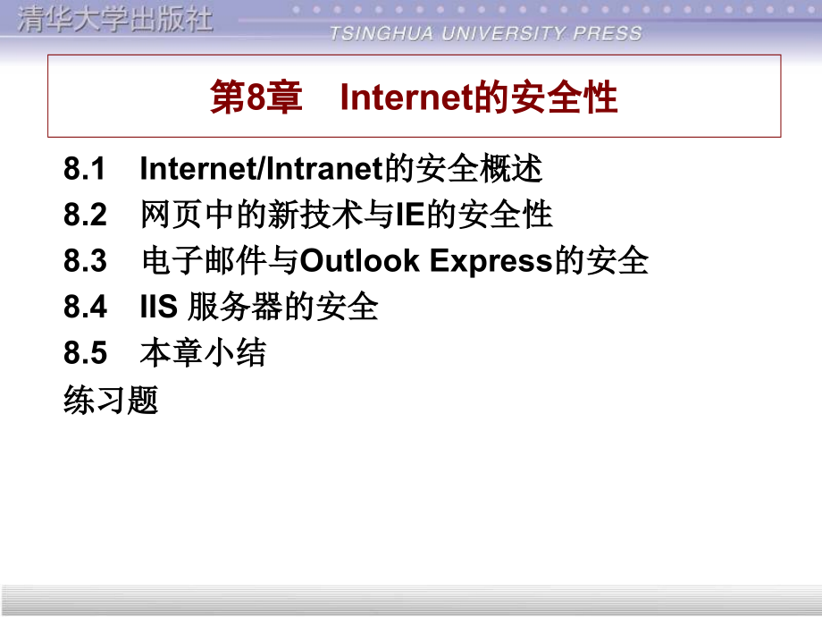 Internet的安全性(1)精编版_第1页