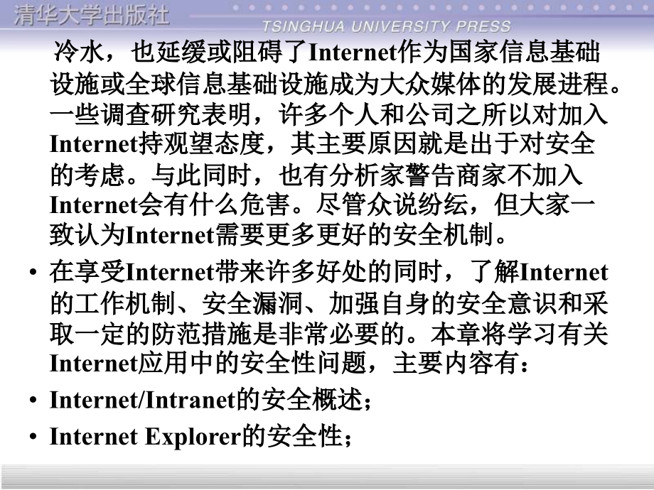 Internet的安全性(1)精编版_第3页