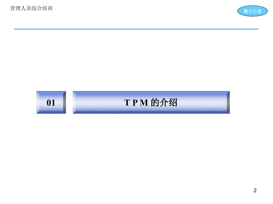TPM及其应用精编版_第2页