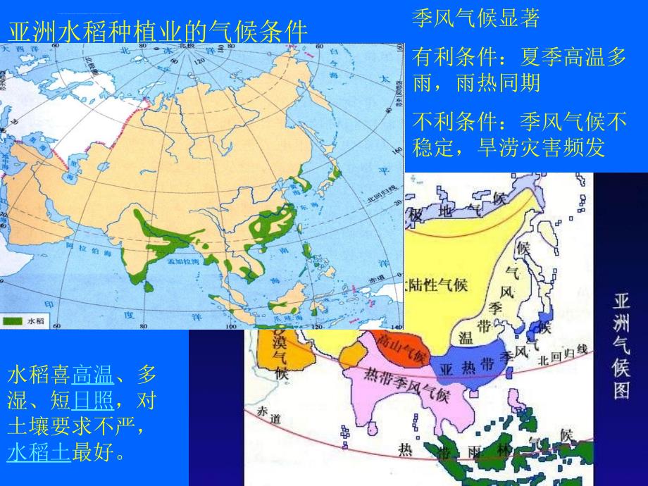 世界农业地域类型课件_第3页