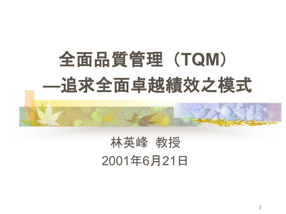 TQM-2精编版_第1页