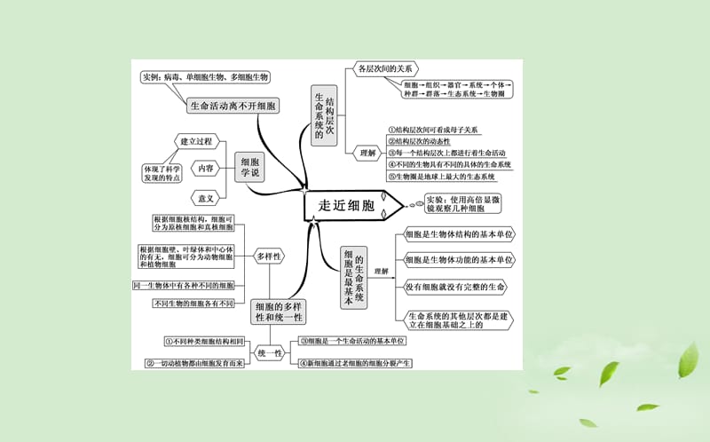 高考生物一轮复习 章末知识体系构建1课件 新人教必修1_第2页