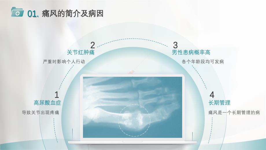 痛风医疗护理PPT讲座课件（带内容）_第4页