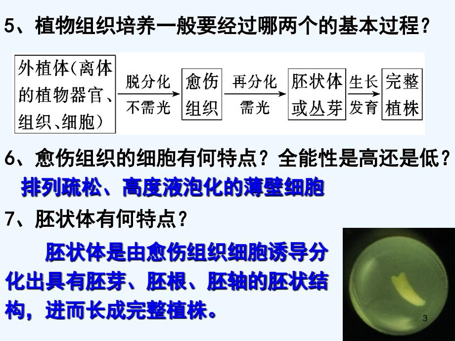 高考生物二轮复习 植物组织培养技术课件_第3页