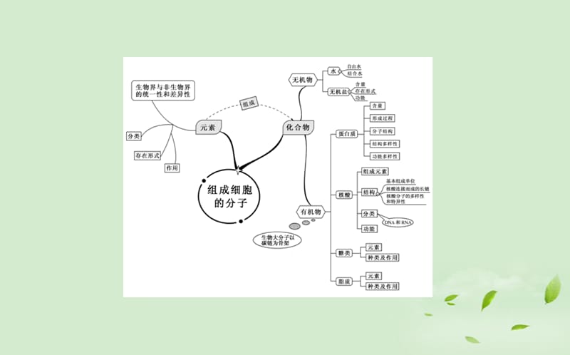 高考生物一轮复习 章末知识体系构建2课件 新人教必修1_第2页