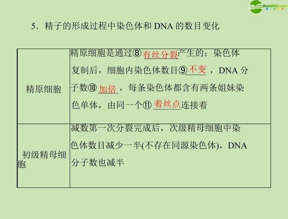 高考生物一轮复习 第2章 第1节 减数分裂和受精作用课件 新人教必修2_第5页