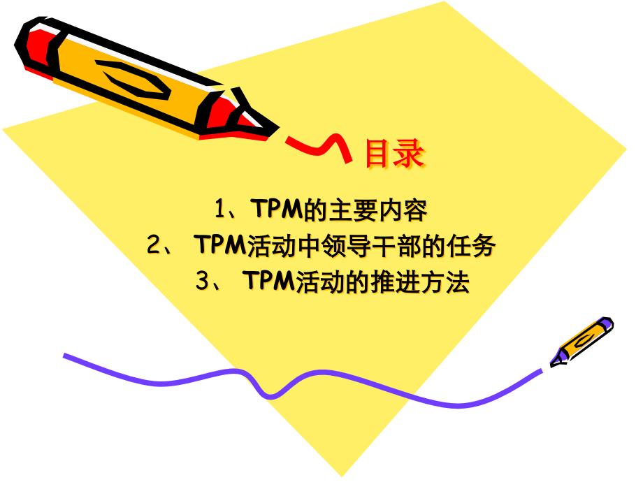 TPM活动推进概要(2)精编版_第2页