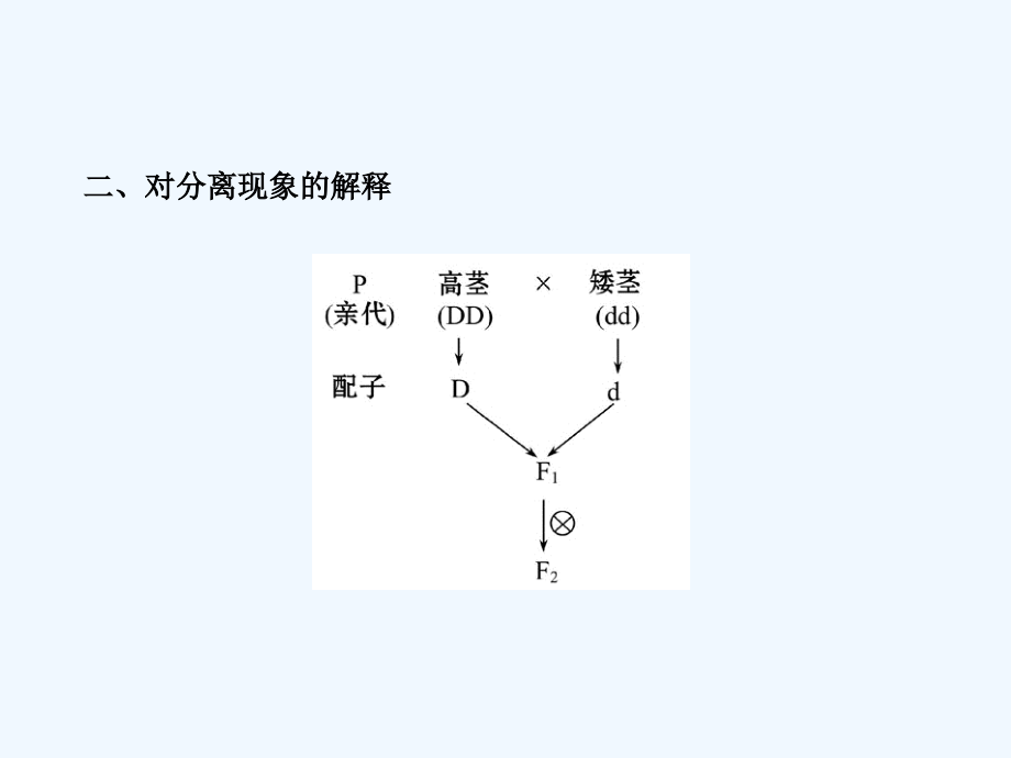 （安徽天津专用）高中生物 2.1.1孟德尔的豌豆杂交实验(一)复习方略配套课件 新人教_第4页