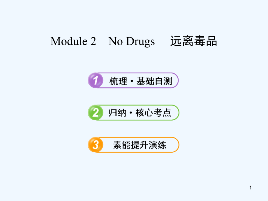 （山东 天津专用）高考英语 Module 2 No Drugs复习方略课件 外研必修2_第1页