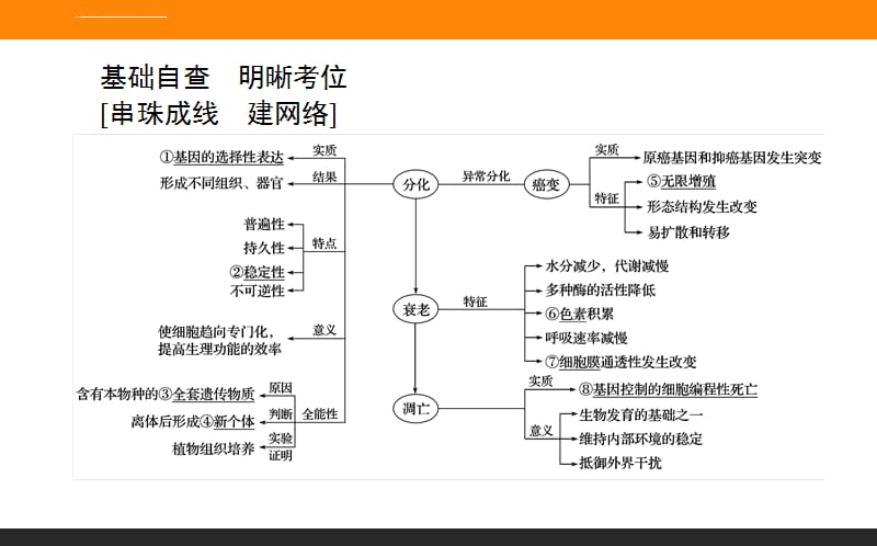 专题三细胞的生命历程ppt课件_第2页