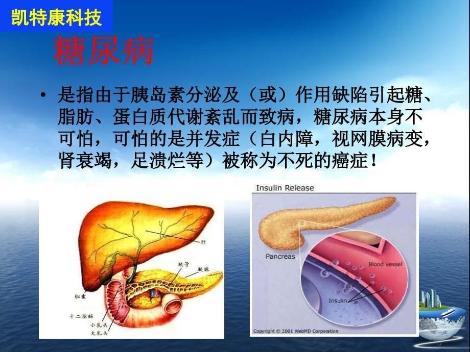 三种床垫知识详解课件_第5页