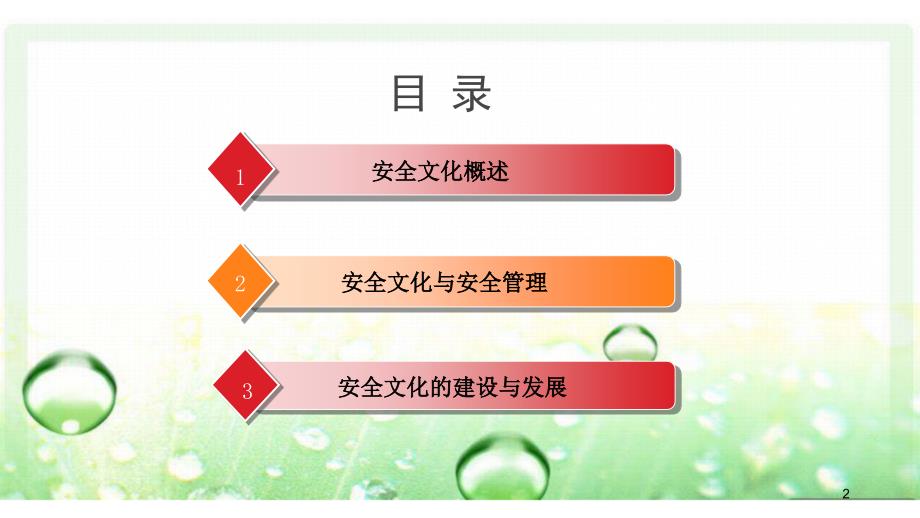 安全文化课件（65页）_第2页