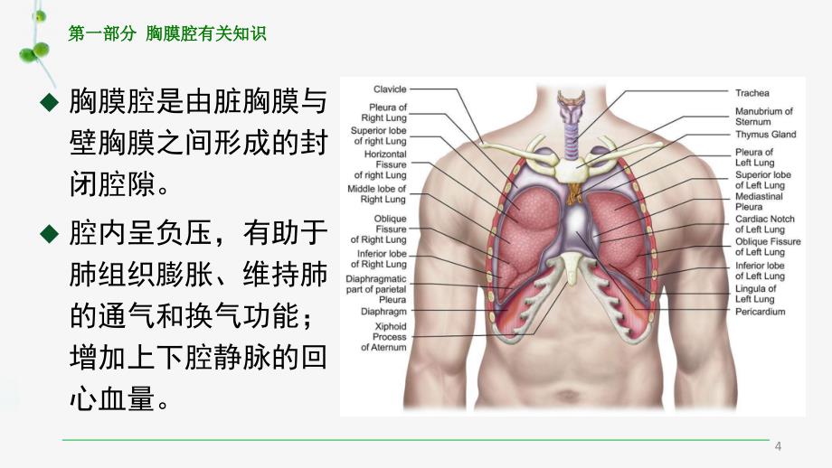 （优质医学）胸腔闭式引流及护理(讲课)学习课件_第4页