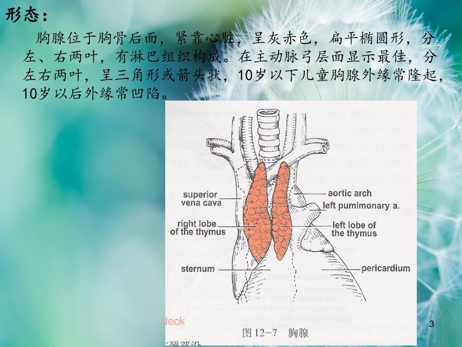 （优质医学）胸腺瘤_第3页