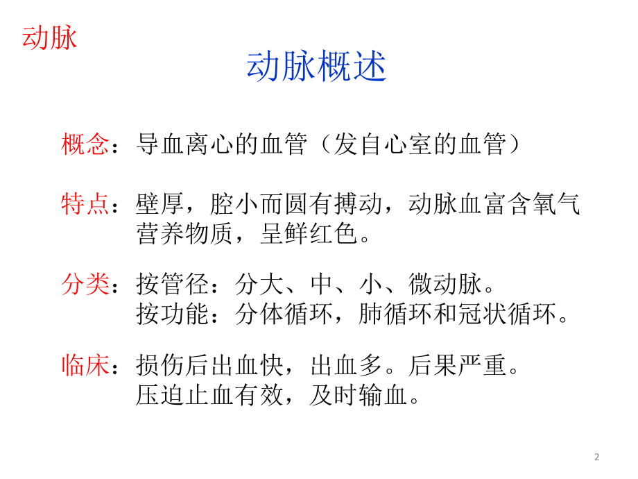 （优质医学）人体解剖学--动脉_第2页