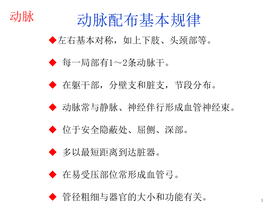 （优质医学）人体解剖学--动脉_第3页