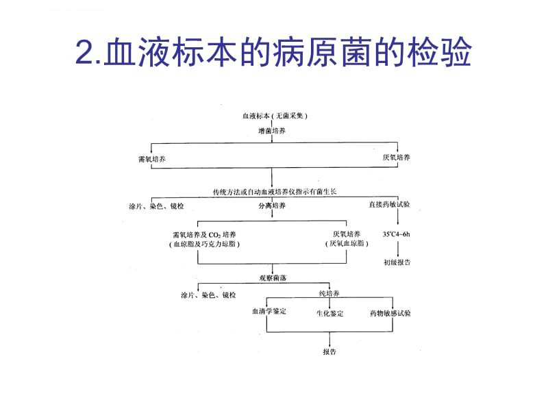 临床感染症病原体检验课件_第3页