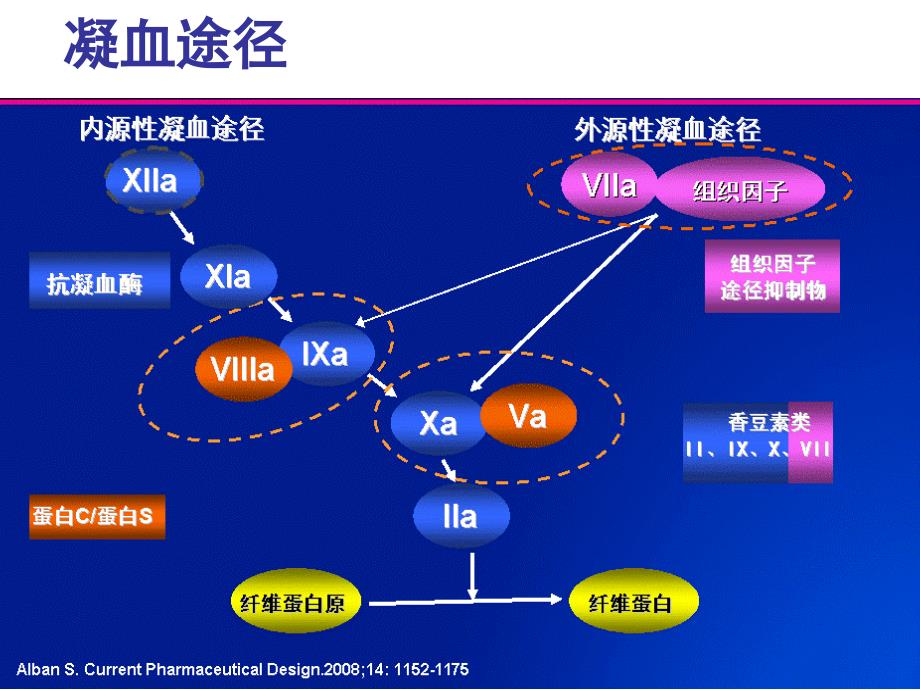 个体化用药之血液系统用药课件_第4页