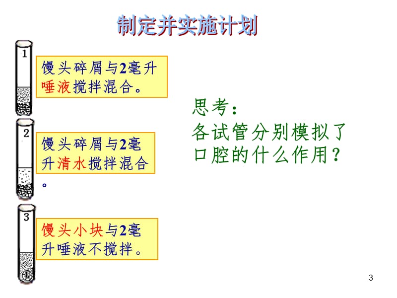 馒头在口腔内变甜的 实验（课堂PPT）_第3页