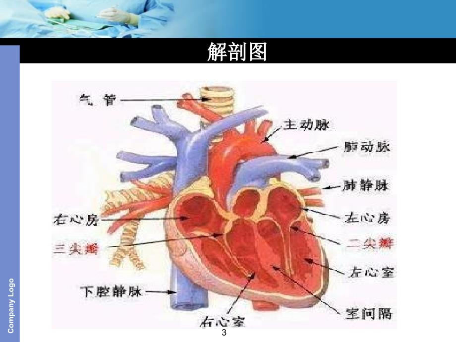 （优质医学）主动脉夹层护理查房_第3页