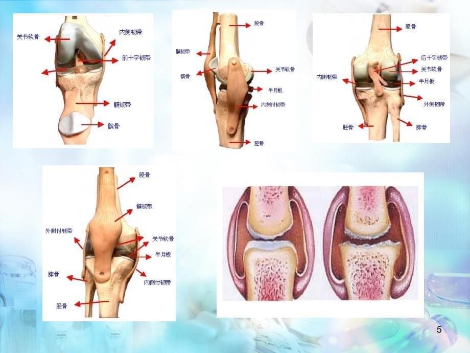 （优质医学）针灸治疗膝关节骨性关节炎技术_第5页