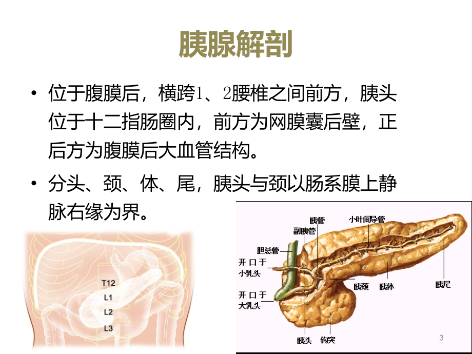 （优质医学）胰腺炎的影像诊断_第3页