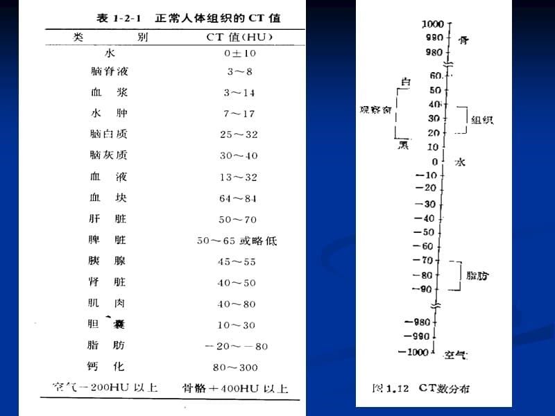 临床医生胸部CT读片扫盲知识精讲课件_第5页