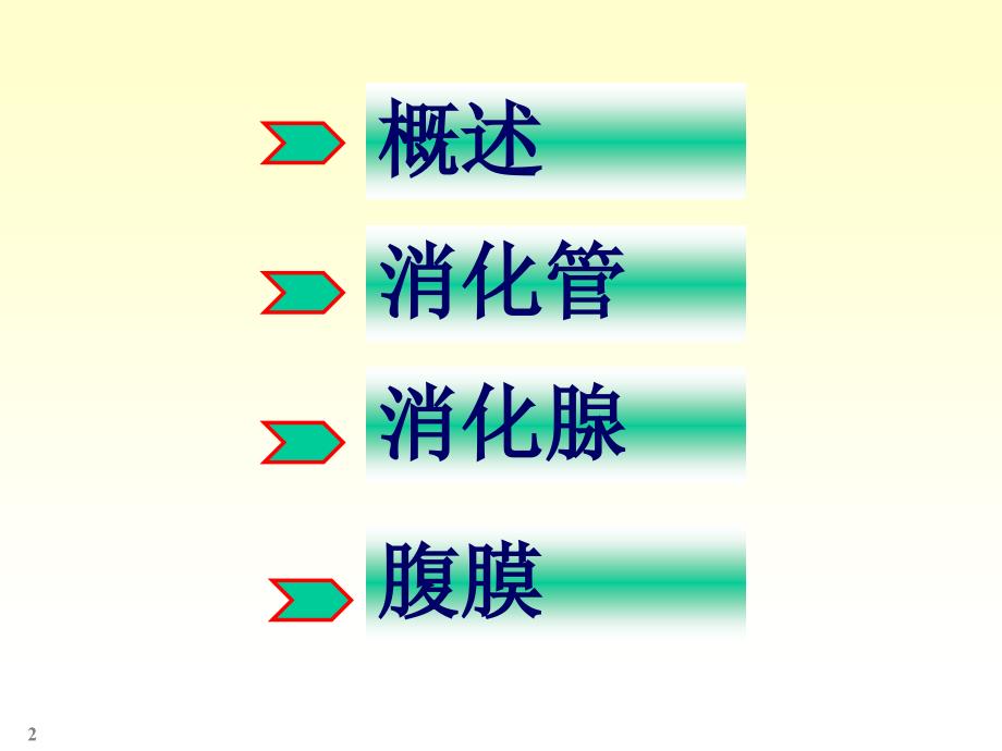 人体解剖消化系统课件_第2页