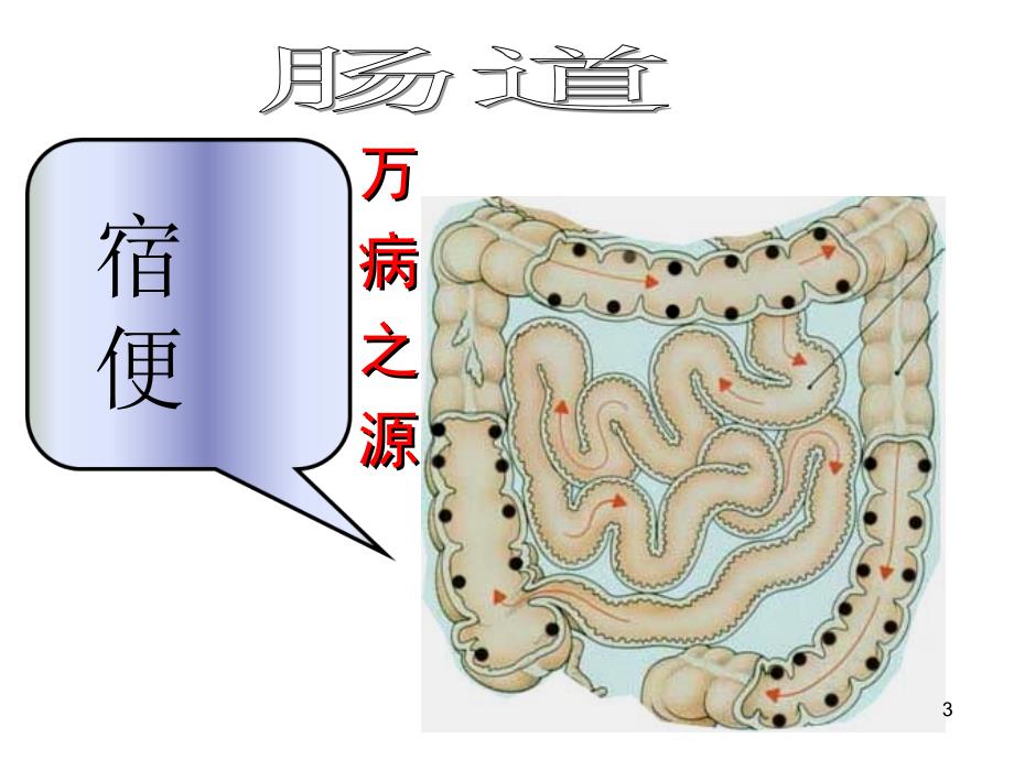 （优质课件）人体六大排毒通道_第3页