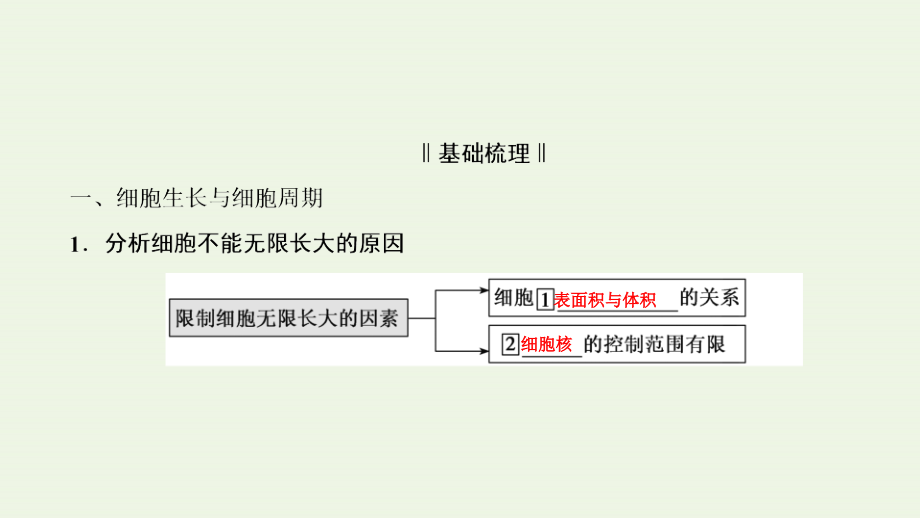 全国通用2021版高考生物一轮复习第4单元第12讲细胞的增殖课件64_第4页