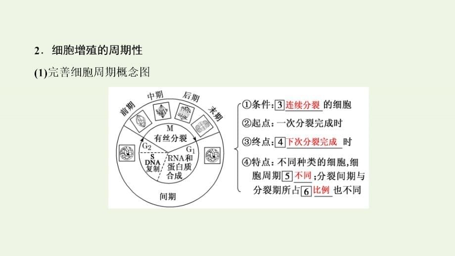 全国通用2021版高考生物一轮复习第4单元第12讲细胞的增殖课件64_第5页