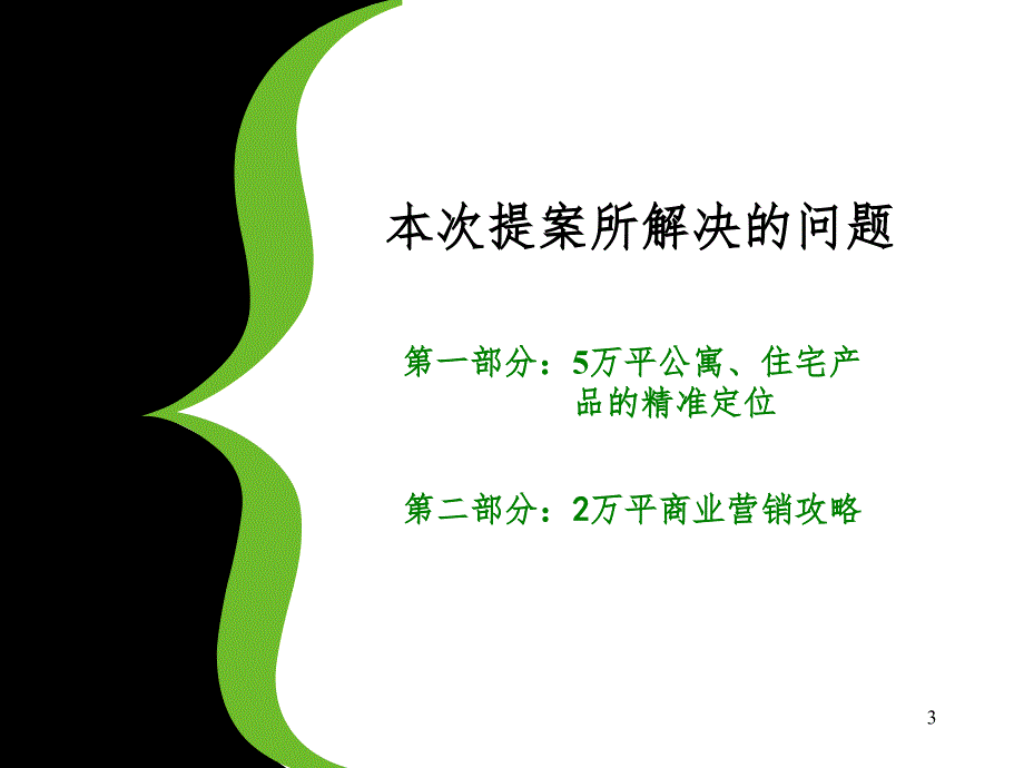 长江街项目营销策略提报（课堂PPT）_第3页