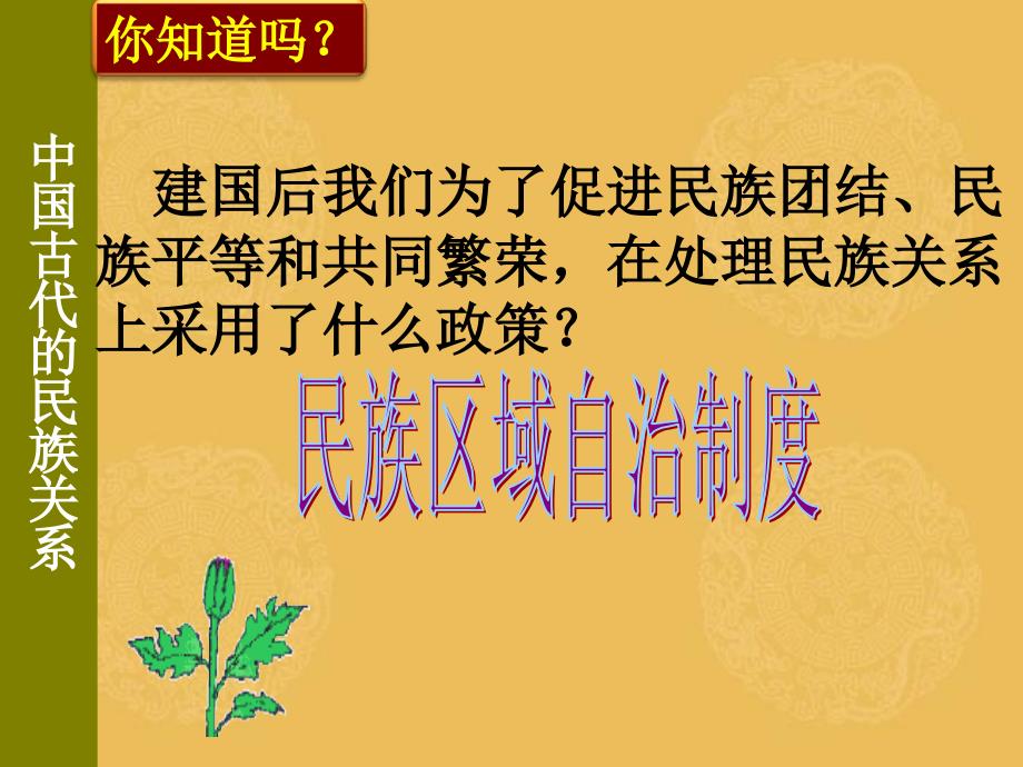 中国古代的民族关系和对外关系____初三专题复习课课件_第2页
