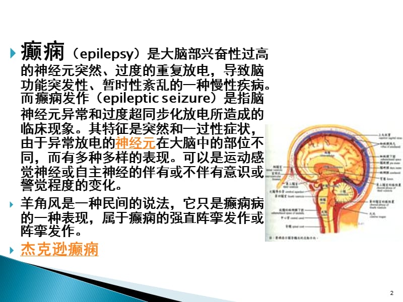 （优质医学）癫痫病人护理措施_第2页