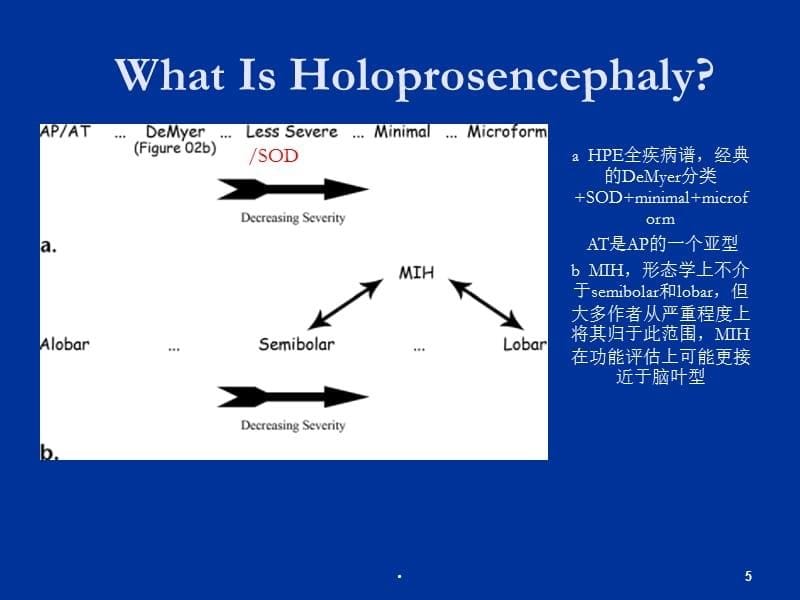 （优质医学）前脑无裂畸形(HPE)的影像学表现_第5页