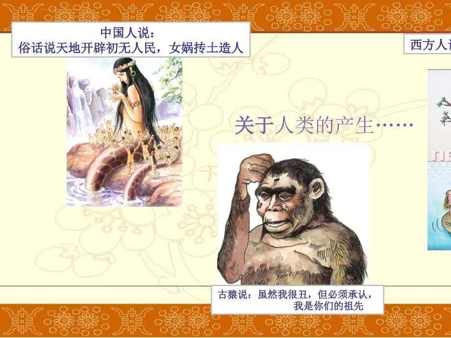 中国早期人类的代表――北京人PPT课件17 人教版_第5页