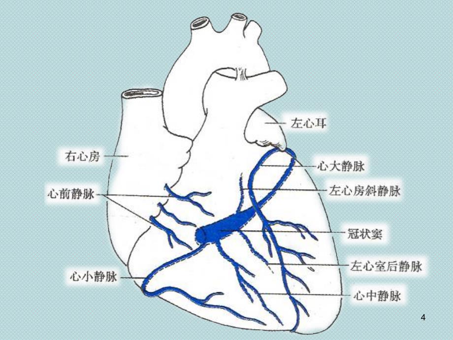 （优质医学）冠状静脉窦无顶综合征_第4页