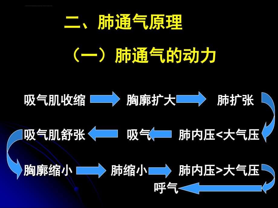 人体解剖生理学完整课件----呼吸_第5页