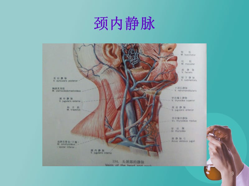 （优质课件）深静脉置管的维护_第3页