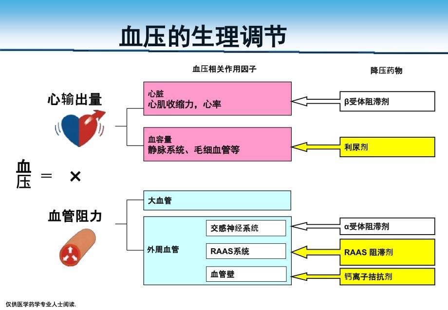 （优质医学）高血压的发病机制与病理生理_第5页