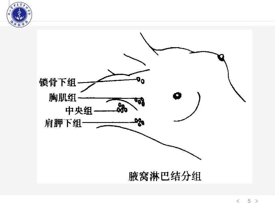 乳房疾病（课堂PPT）_第5页