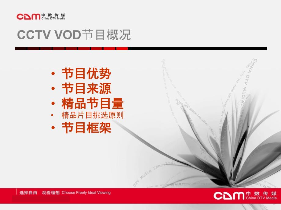 中数传媒VOD节目介绍课件_第3页