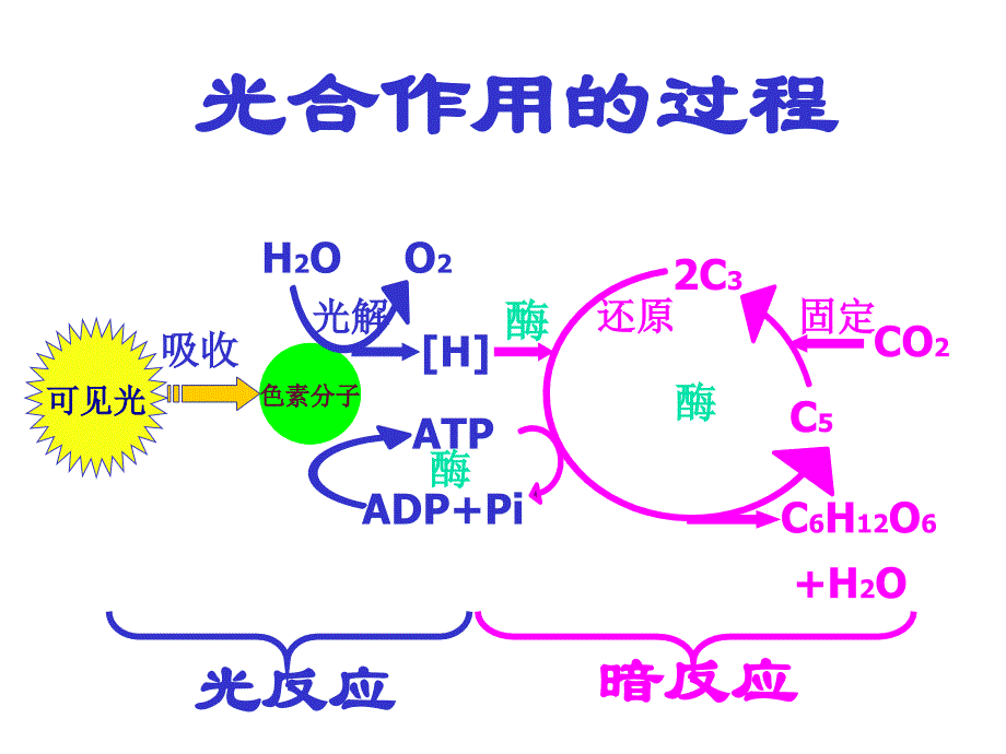 光能利用率和光合作用效率课件_第1页