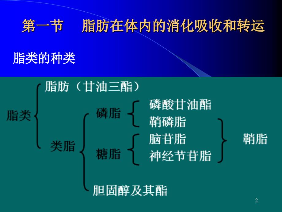 （优质医学）脂肪在体内的消化吸收和转运_第2页